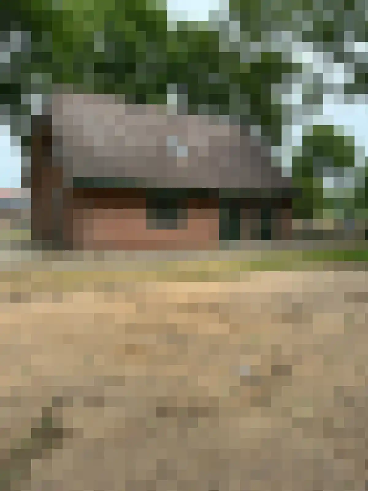 Arendhorsterweg 3 a Ommen thumbnail 10
