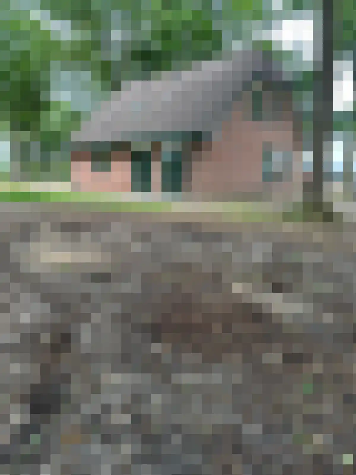 Arendhorsterweg 3 a Ommen thumbnail 11