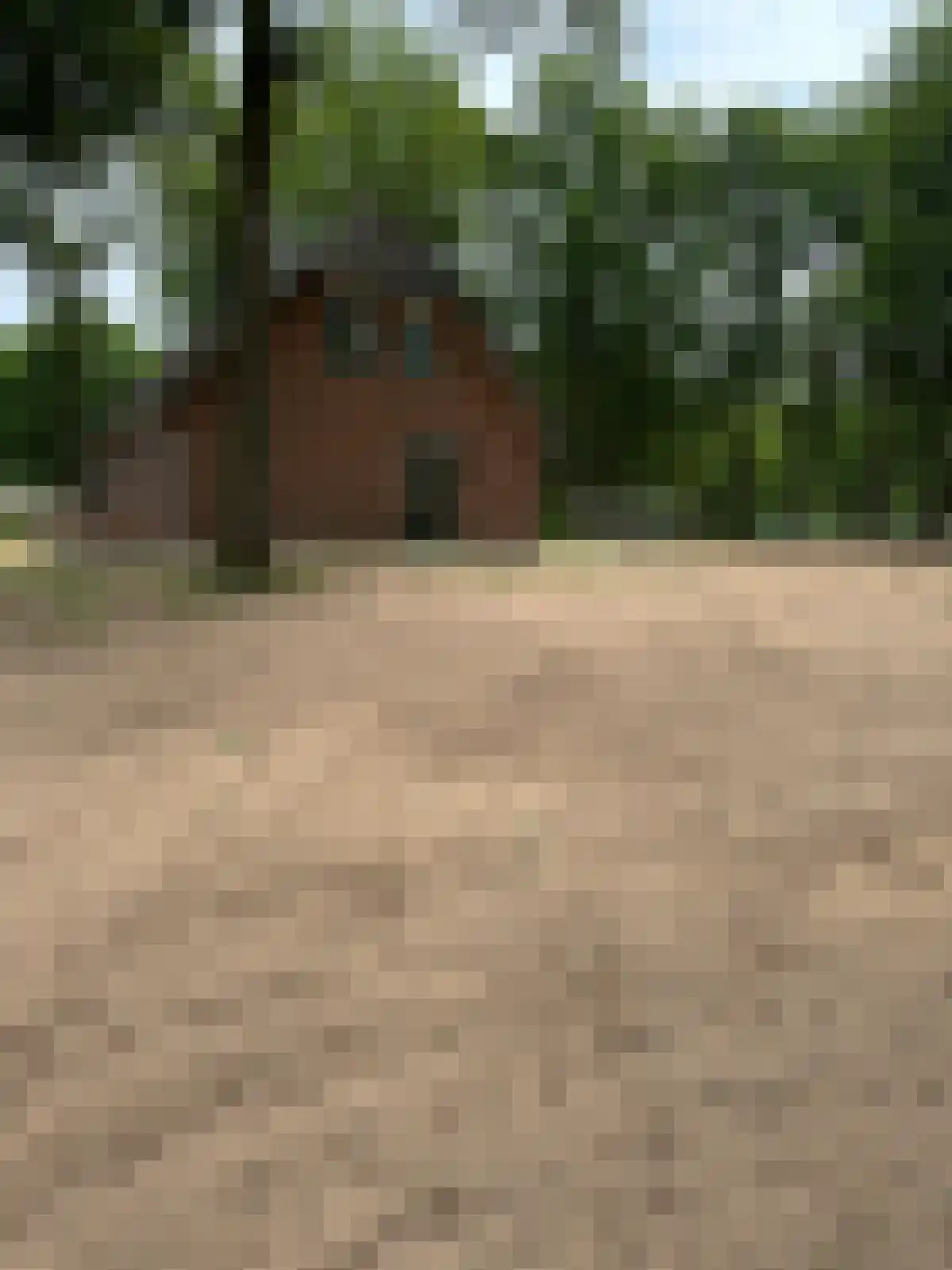 Arendhorsterweg 3 a Ommen thumbnail 6