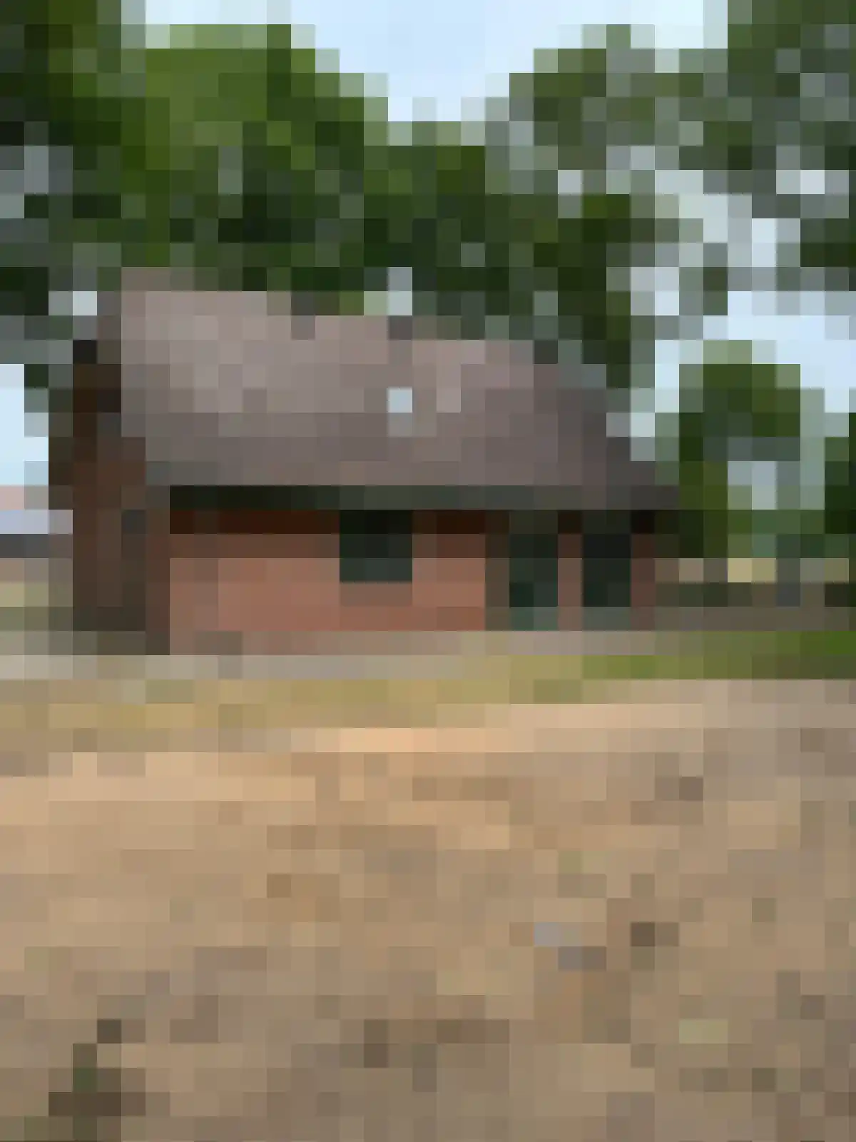 Arendhorsterweg 3 a Ommen thumbnail 7