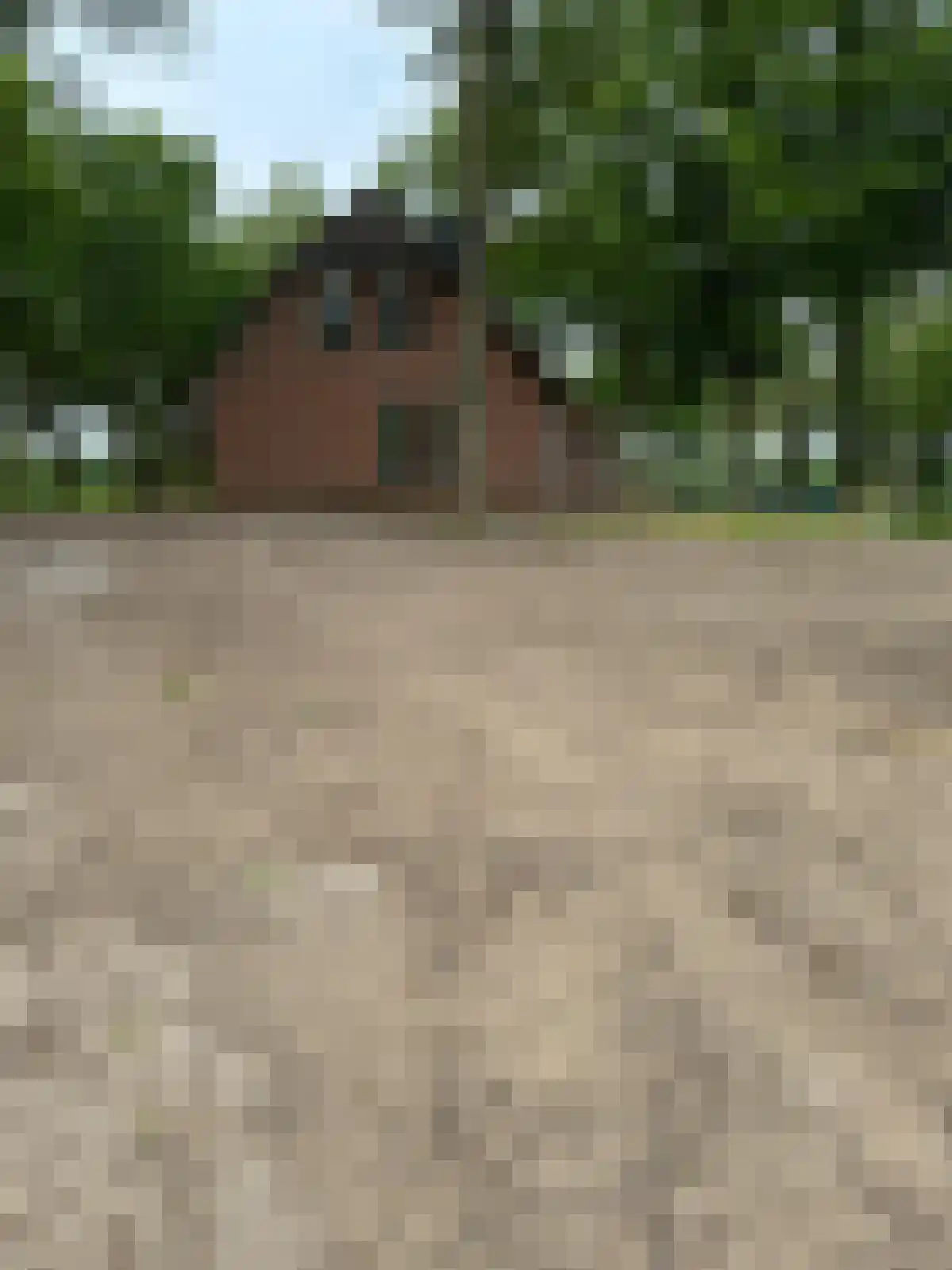Arendhorsterweg 3 a Ommen thumbnail 8