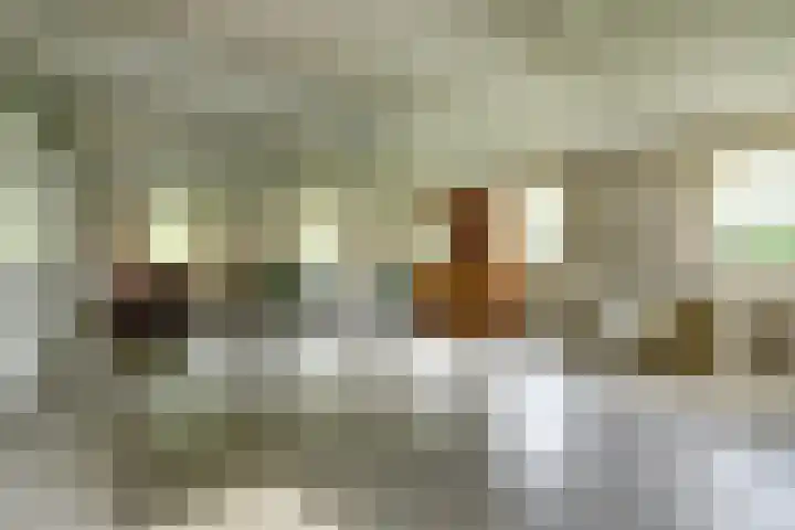 Arendlaan 34 Ermelo thumbnail 34