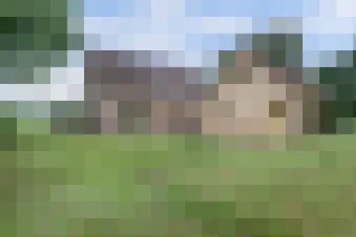 Arendlaan 34 Ermelo thumbnail 4