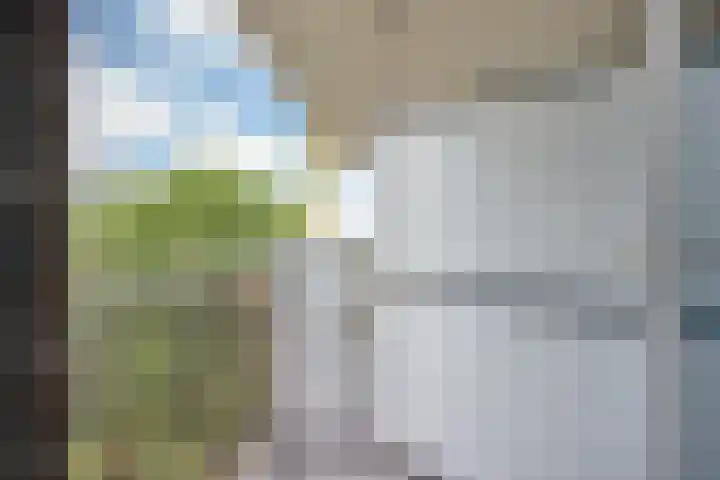 Arendlaan 42 Delft thumbnail 17
