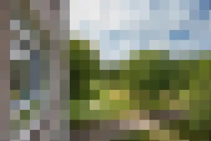 Arendlaan 42 Delft thumbnail 18