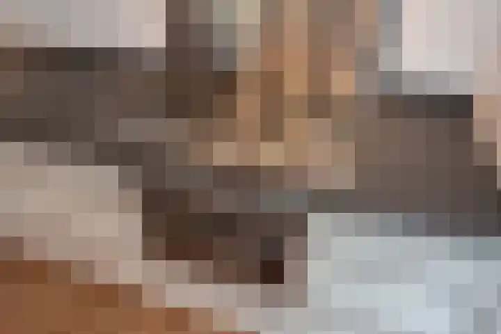 Arendlaan 42 Delft thumbnail 20