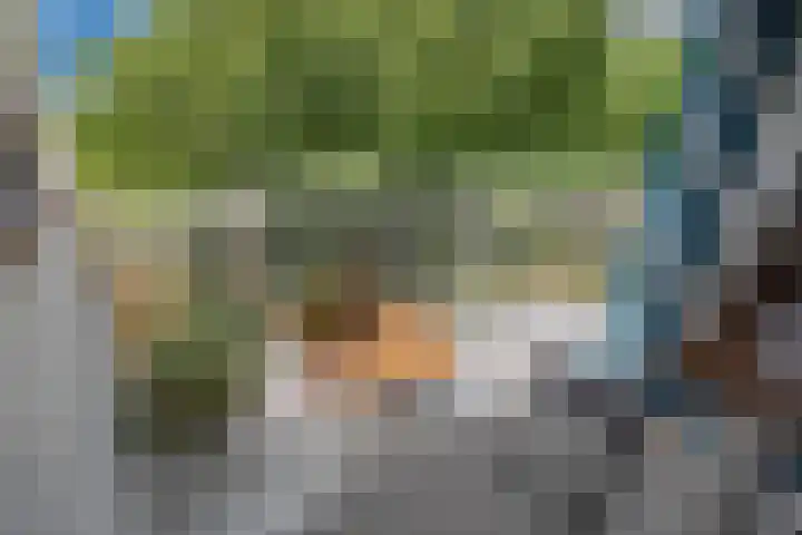 Arendlaan 42 Delft thumbnail 21