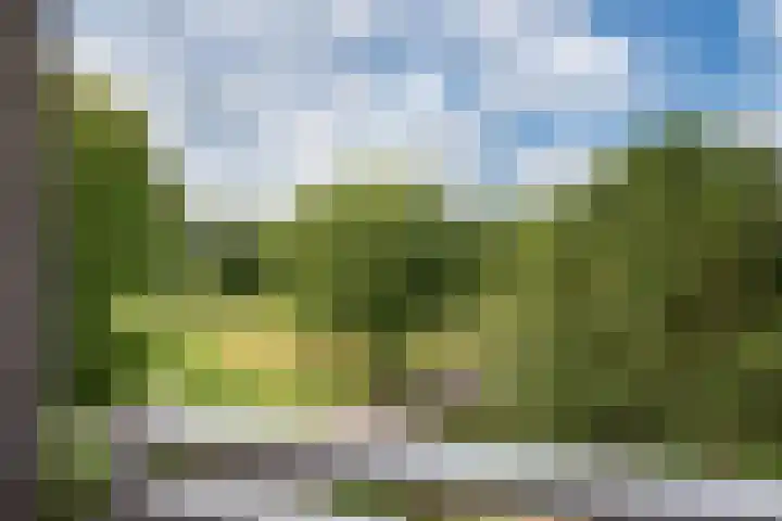 Arendlaan 42 Delft thumbnail 23