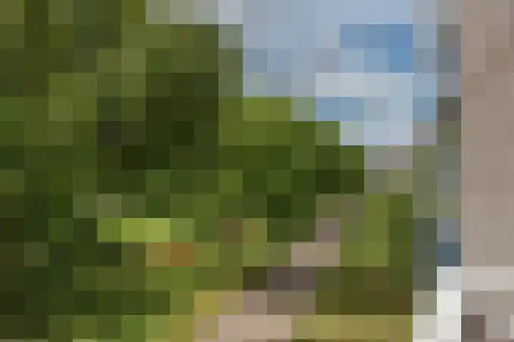 Arendlaan 42 Delft thumbnail 24