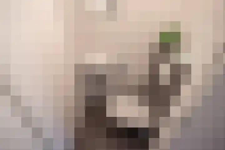 Arendlaan 42 Delft thumbnail 31