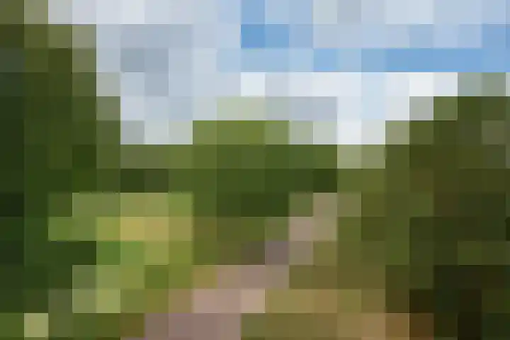 Arendlaan 42 Delft thumbnail 32