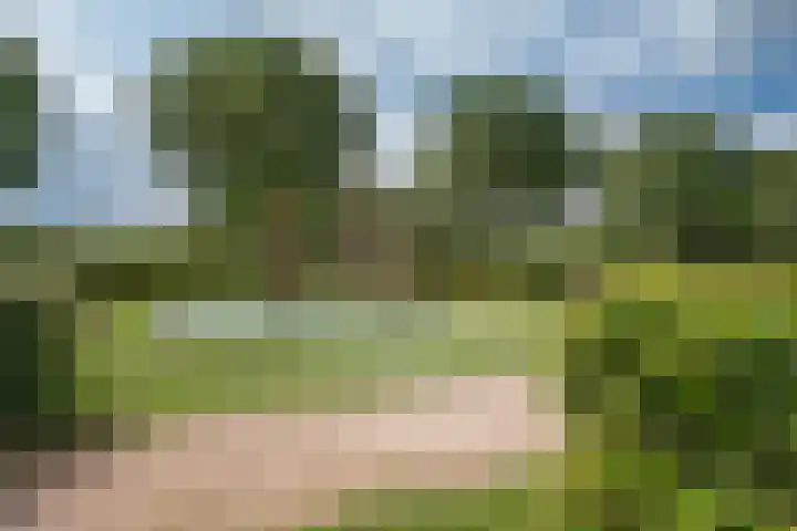 Arendlaan 42 Delft thumbnail 33