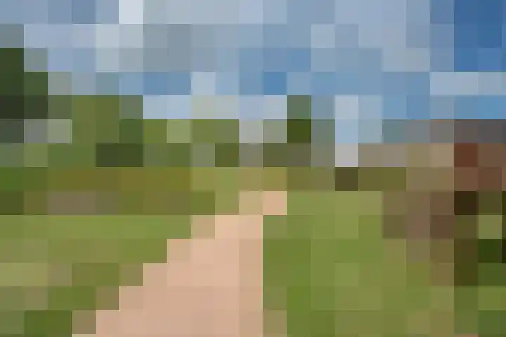 Arendlaan 42 Delft thumbnail 34