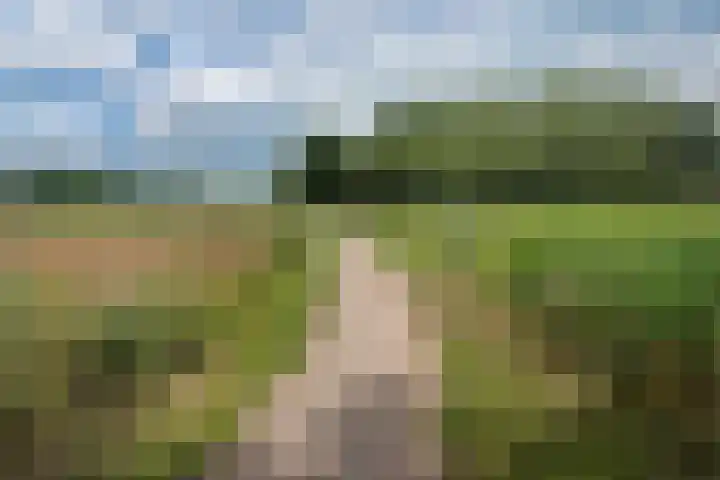 Arendlaan 42 Delft thumbnail 35