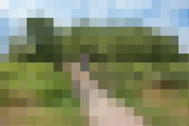 Arendlaan 42 Delft thumbnail 36