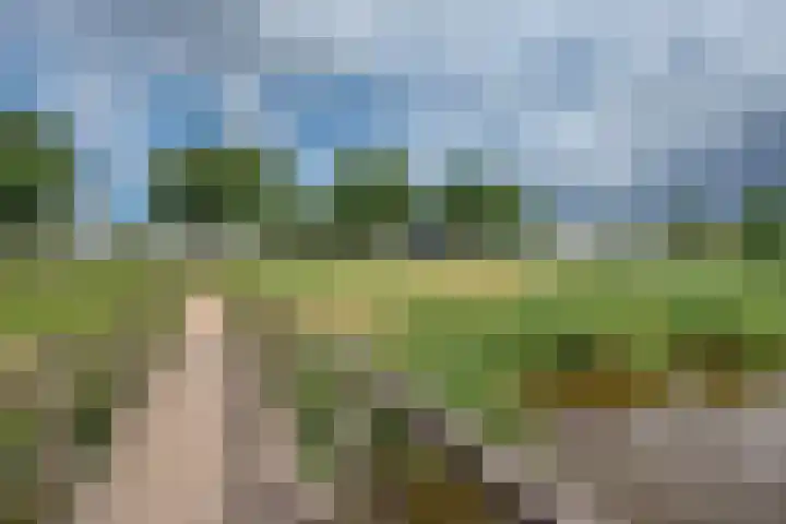 Arendlaan 42 Delft thumbnail 37