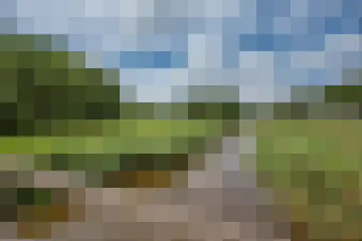Arendlaan 42 Delft thumbnail 38