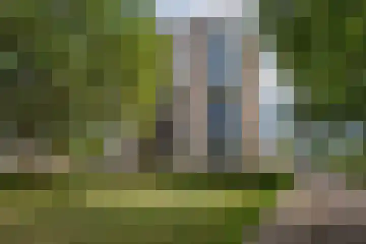 Arendlaan 42 Delft thumbnail 5