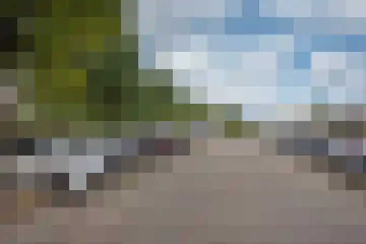 Arendlaan 42 Delft thumbnail 6