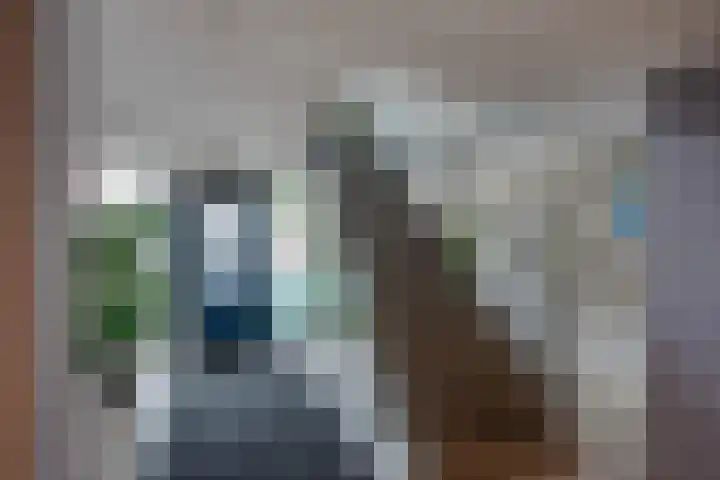 Arendlaan 42 Delft thumbnail 8