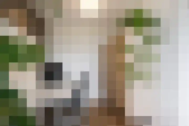 Arendlaan 50 Delft thumbnail 20