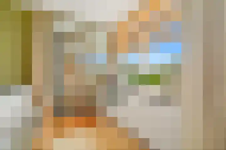Arendlaan 52 Delft thumbnail 13