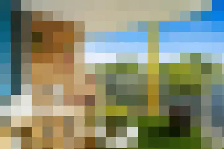Arendlaan 52 Delft thumbnail 14