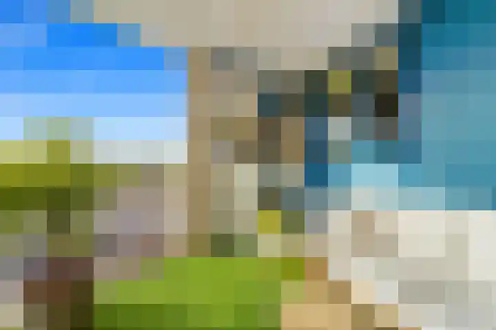 Arendlaan 52 Delft thumbnail 15