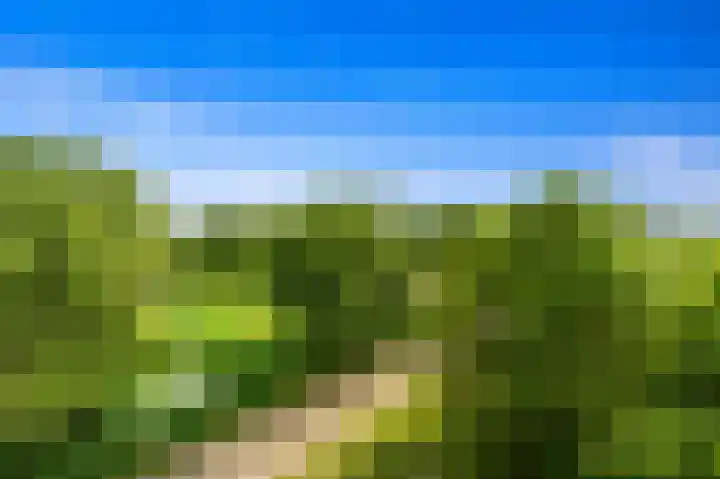 Arendlaan 52 Delft thumbnail 16