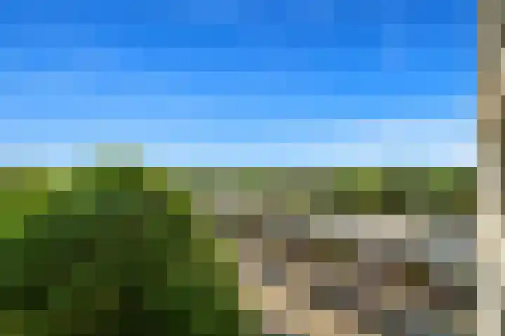 Arendlaan 52 Delft thumbnail 17