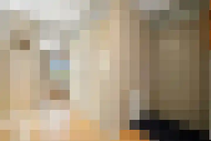 Arendlaan 52 Delft thumbnail 20
