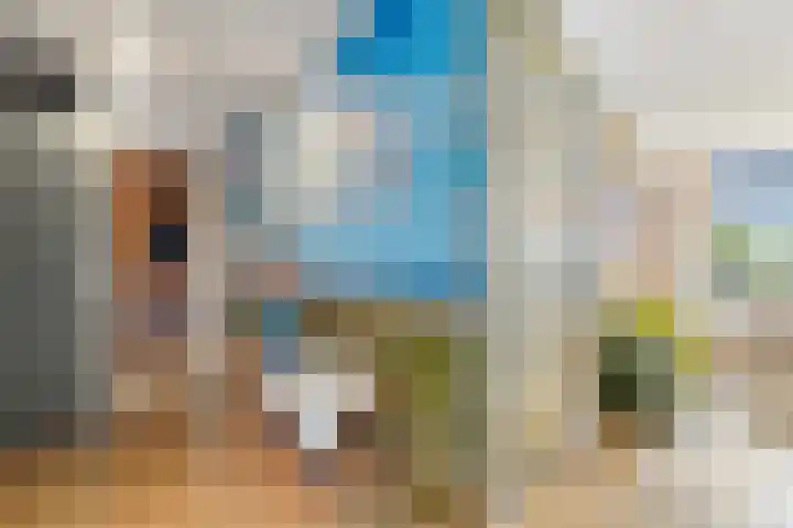 Arendlaan 52 Delft thumbnail 24
