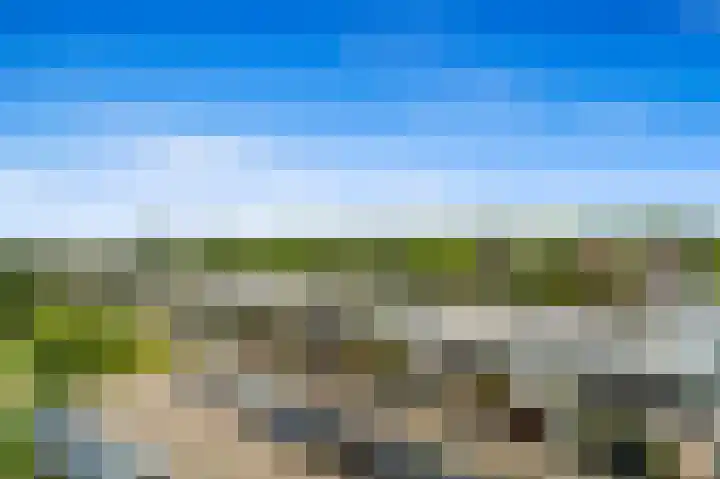 Arendlaan 52 Delft thumbnail 27