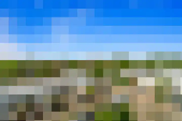 Arendlaan 52 Delft thumbnail 28
