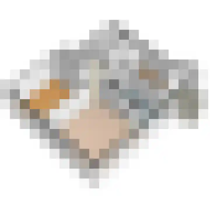 Arendlaan 52 Delft thumbnail 30