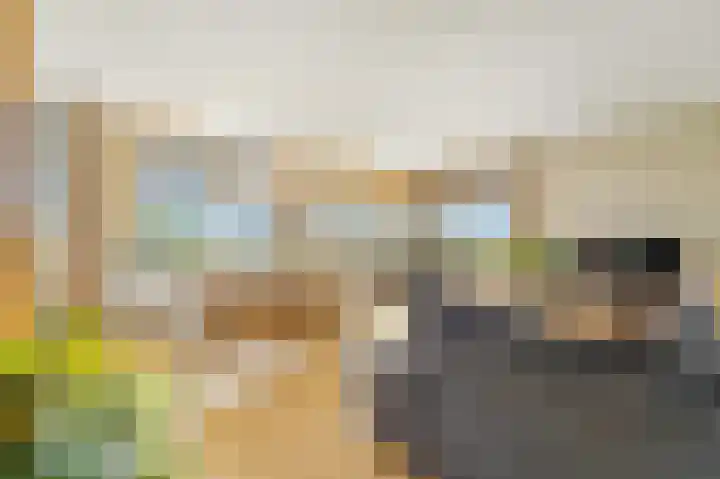 Arendlaan 52 Delft thumbnail 5