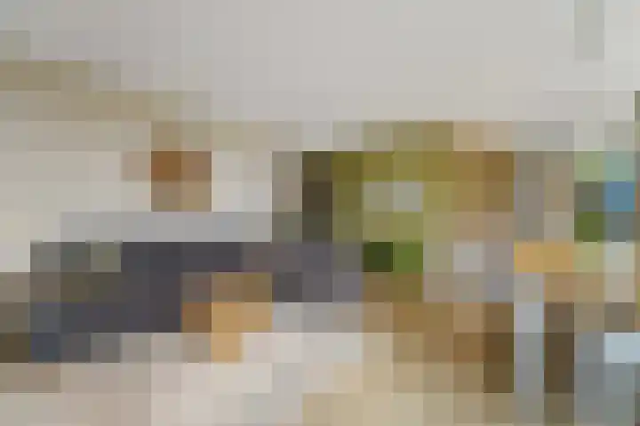 Arendlaan 52 Delft thumbnail 6