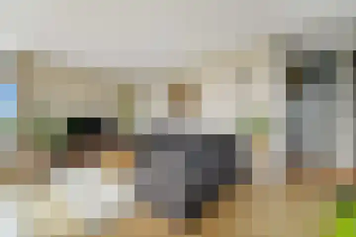 Arendlaan 52 Delft thumbnail 7