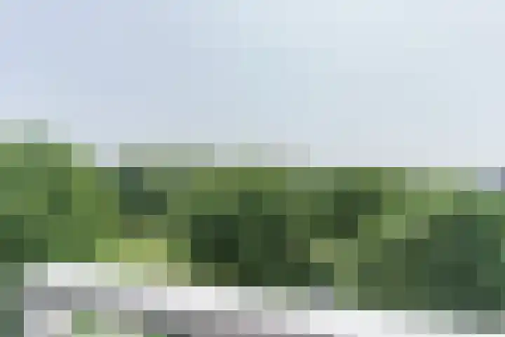 Arendlaan 58 Delft thumbnail 17