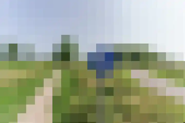 Arendlaan 58 Delft thumbnail 24