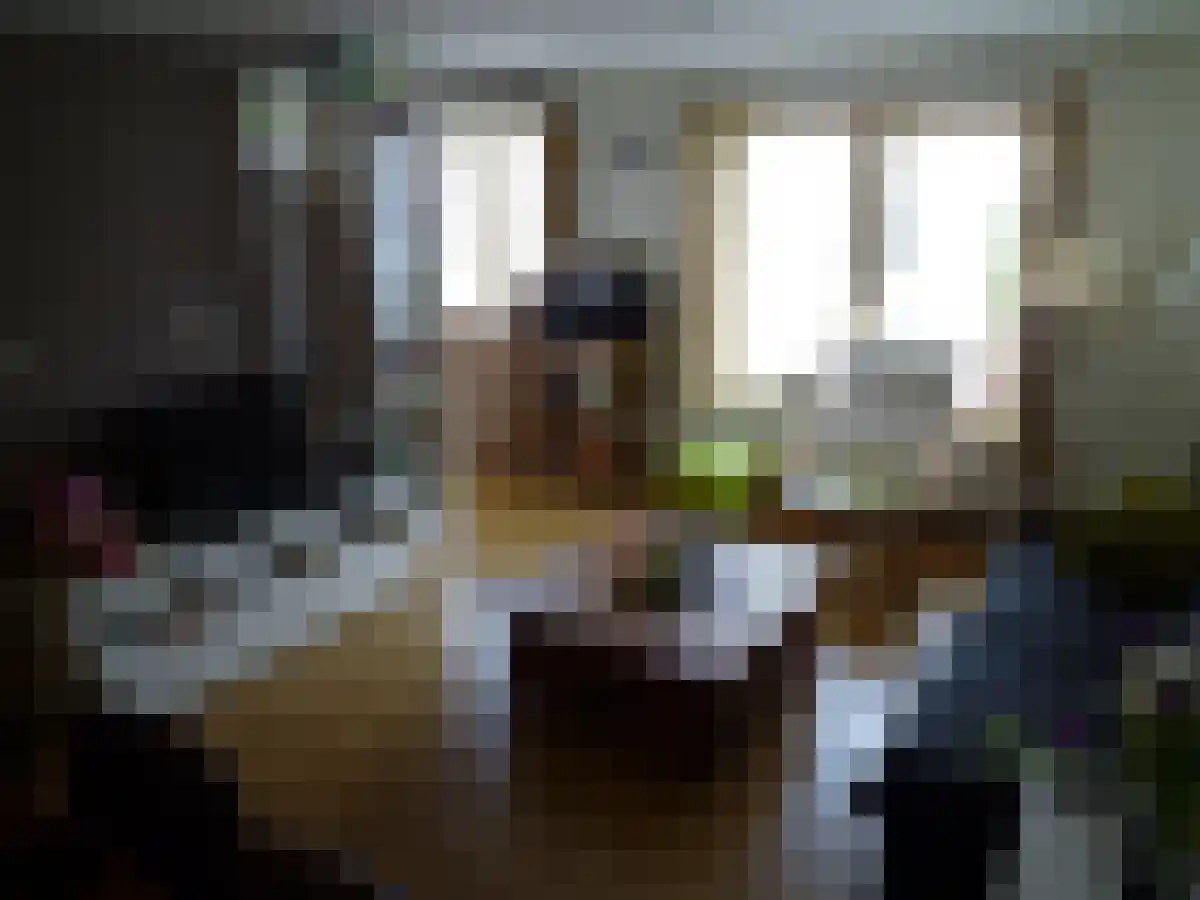 Arendlaan 7 Tilburg thumbnail 5