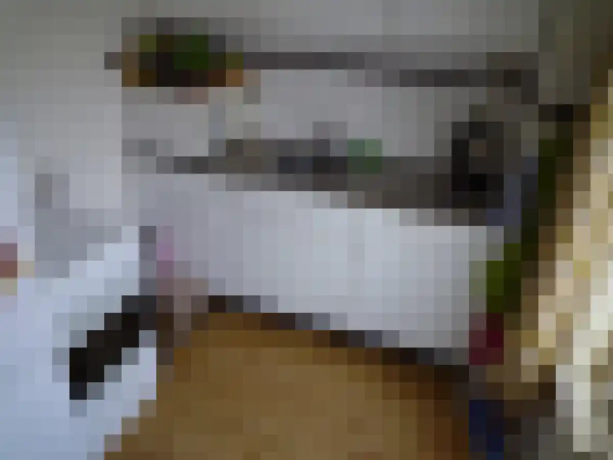 Arendlaan 7 Tilburg thumbnail 6