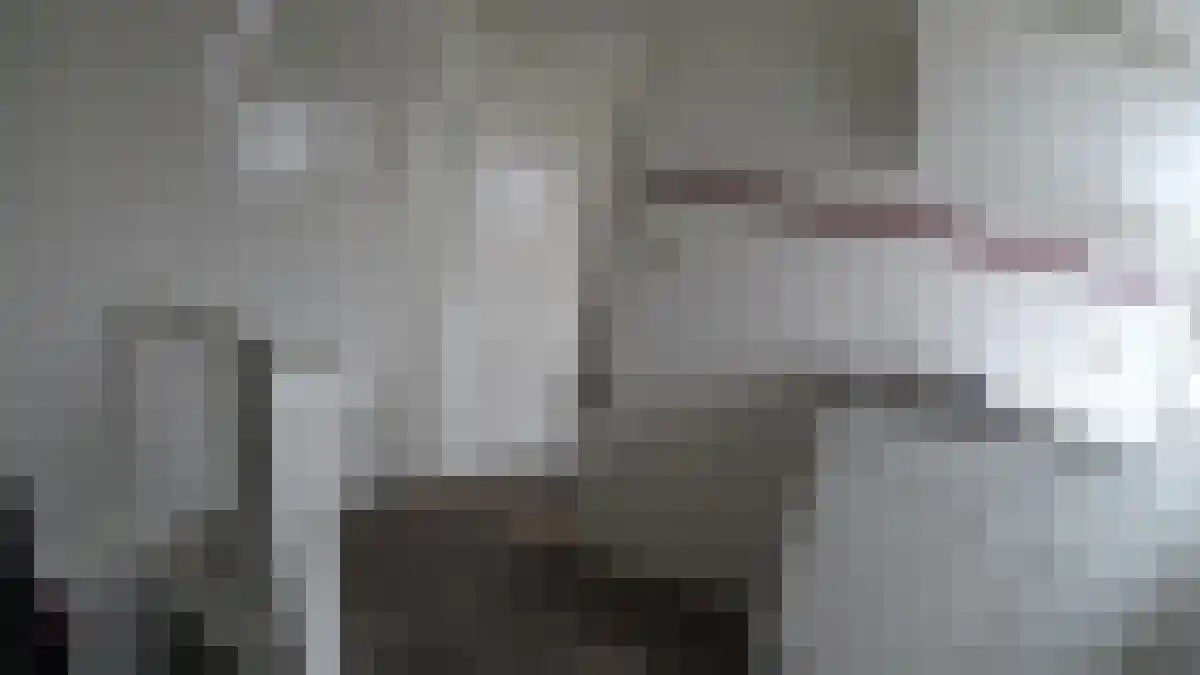 Arendlaan 7 Tilburg thumbnail 6