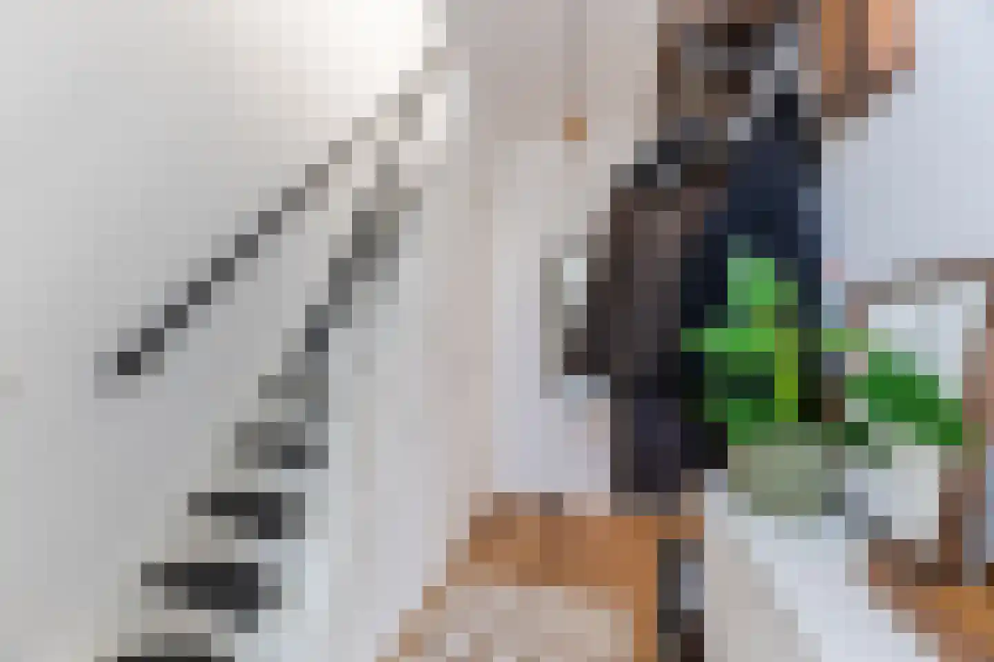 Arendlaan 8 Tilburg thumbnail 18
