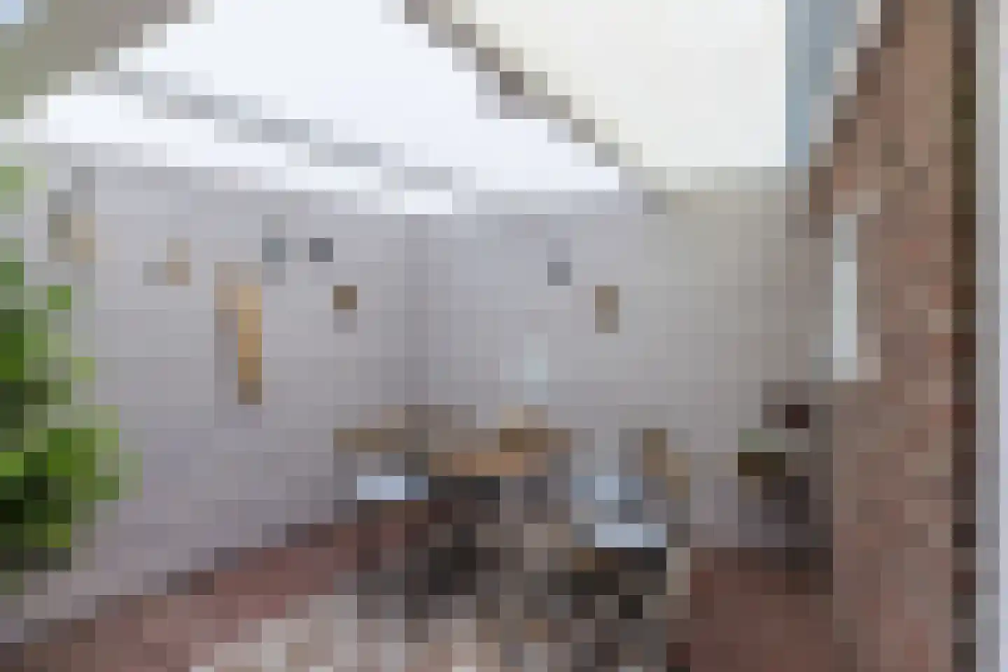 Arendlaan 8 Tilburg thumbnail 36