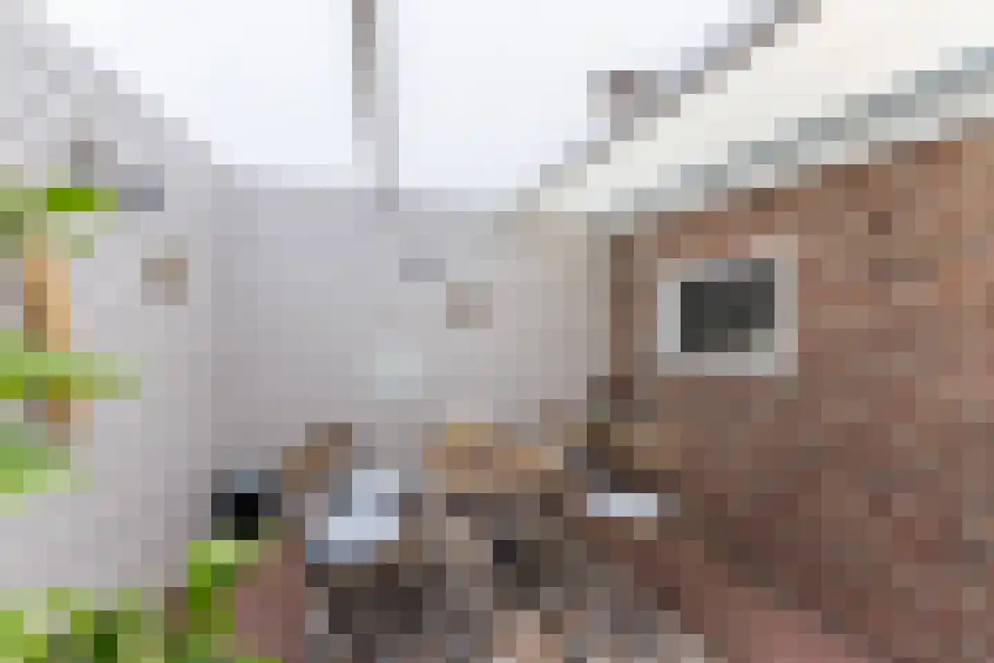 Arendlaan 8 Tilburg thumbnail 37