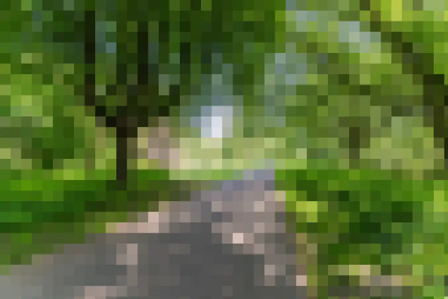 Arendlaan 8 Tilburg thumbnail 43