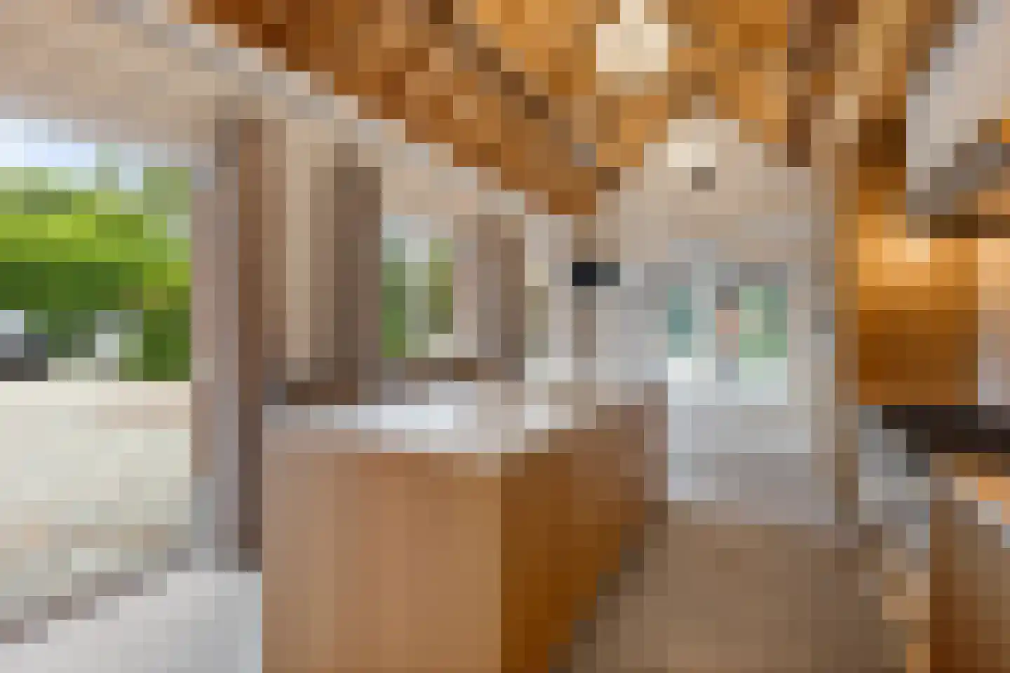 Arendonk 37 Amersfoort thumbnail 22