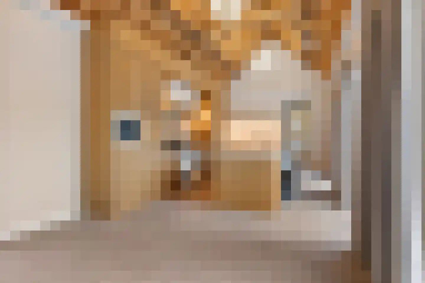 Arendonk 37 Amersfoort thumbnail 27