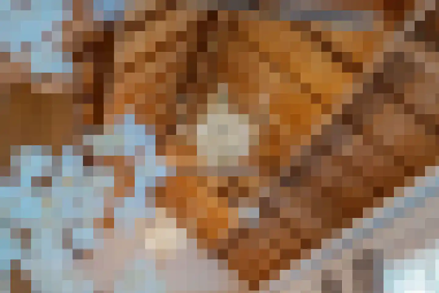 Arendonk 37 Amersfoort thumbnail 29